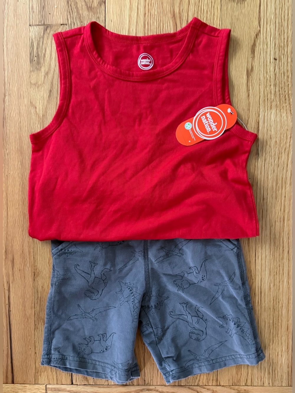 Wonder Nation Red Tank Top and Gray Carters brand Dino Shorts